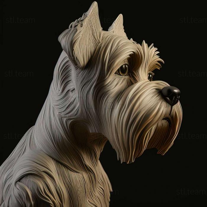 Animals Zwergschnauzer dog